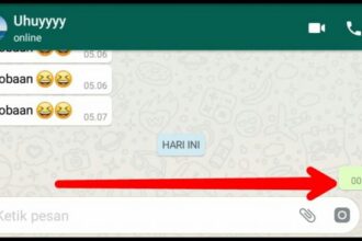 Cara Buat Rahasia di Balik Pesan Kosong WhatsApp