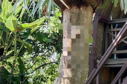 Mayat Kucing Digantung di Malang: Warga Takut Diteror