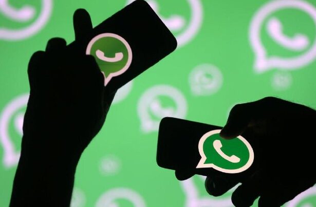 Ini Solusinya Jika Akun WhatsApp Terdeteksi Spam