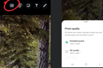Kirim Foto Lebih Jernih: Fitur Baru Foto HD di WhatsApp