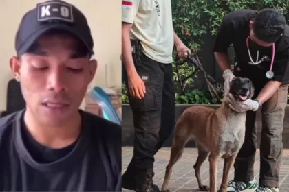 Security Pukul Anjing PI Minta Maaf dan Putus Kontrak Vendor