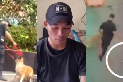 Video Viral Petugas Keamanan Pukul Anjing K-9 Picu Kontroversi