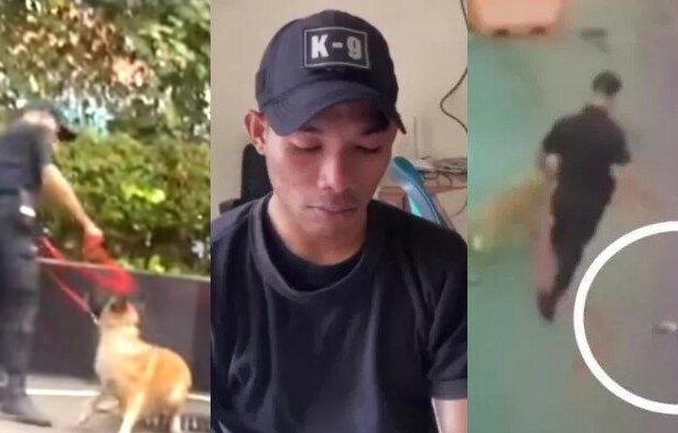 Video Viral Petugas Keamanan Pukul Anjing K-9 Picu Kontroversi
