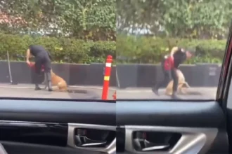 Permintaan Maaf Terkait Video Viral Security Pukul Anjing