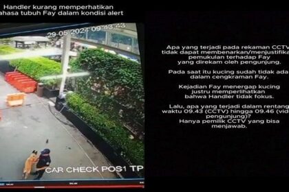 Viral Video Satpam Plaza Indonesia Pukul Anjing: Begini Faktanya