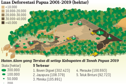 All Eyes On Papua: Gerakan Selamatkan Hutan Papua