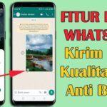 Kirim Foto Lebih Jernih di WhatsApp dengan Fitur Baru Foto HD