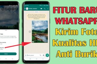 Kirim Foto Lebih Jernih di WhatsApp dengan Fitur Baru Foto HD