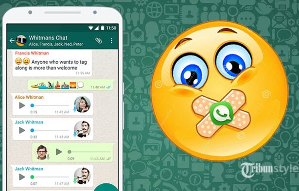 Begini Cara Hindari Grup WhatsApp yang Tidak Diinginkan