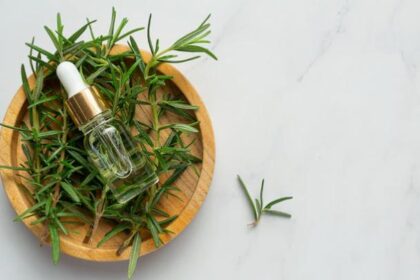 Benarkah Rosemary Ampuh untuk Memanjangkan Rambut? Rosemary, tanaman herbal yang terkenal dengan aromanya yang khas