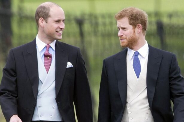 Pangeran Harry dan Warisan Kerajaan: Siapa yang Paling Banyak?