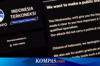 Layanan Publik Pulih Berkat Kebaikan Hacker Brain Cipher
