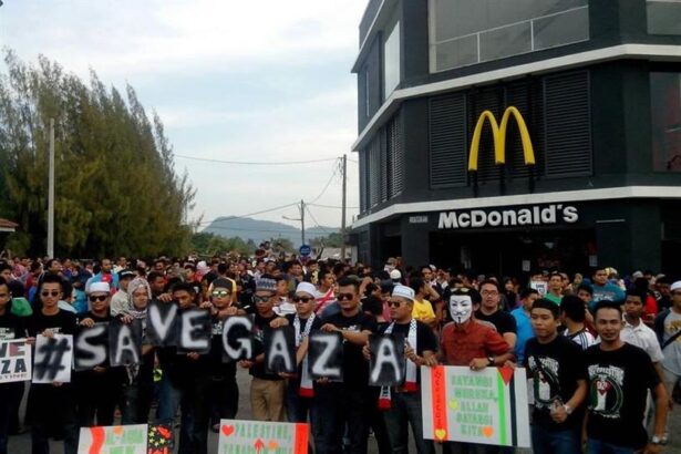 Krisis Telur di Australia Akibat Flu Burung: McDonald's Rugi