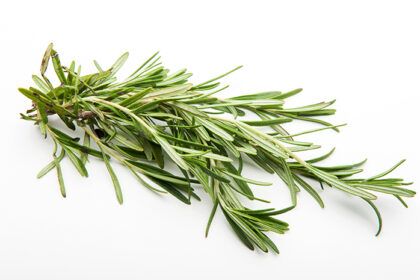 Manfaat Rosemary untuk Rahasia Memanjangkan Rambut