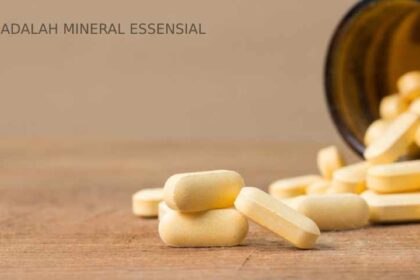 Zinc: Mineral Essensial untuk Kesehatan Tubuh