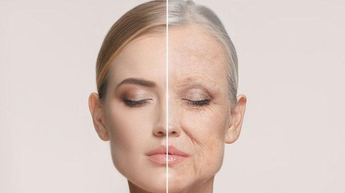 Retinol: Senjata Ampuh Melawan Tanda Penuaan?