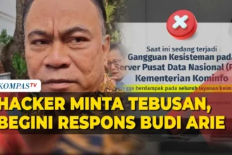 Hacker Minta Maaf dan Bakal Bebaskan Data Pemerintah!