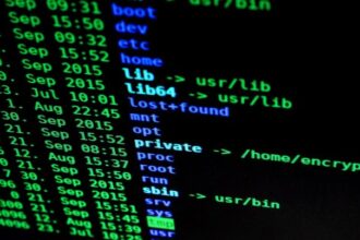 Brain Cipher Janji Bebaskan Data Pusat Data Nasional