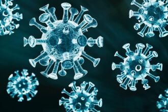 Wabah Virus West Nile Menerjang Israel: Belum Ada Obatnya