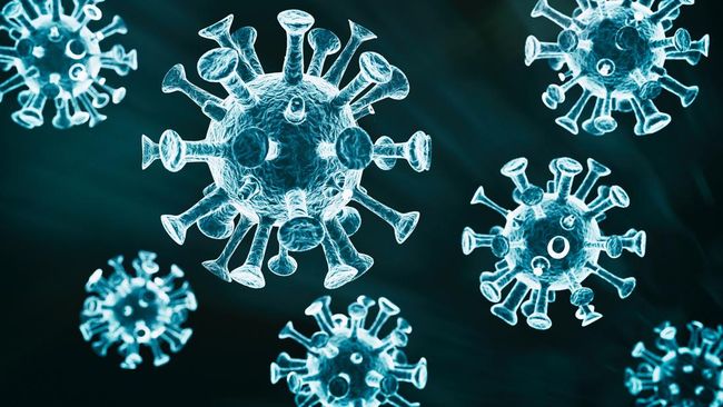 Wabah Virus West Nile Menerjang Israel: Belum Ada Obatnya