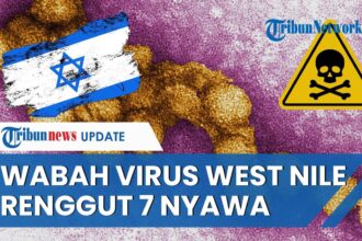 Mampus Virus West Nile Menyerang Israel: Belum Ada Obatnya