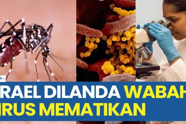 Virus West Nile di Israel: Sudah 7 Orang Meninggal