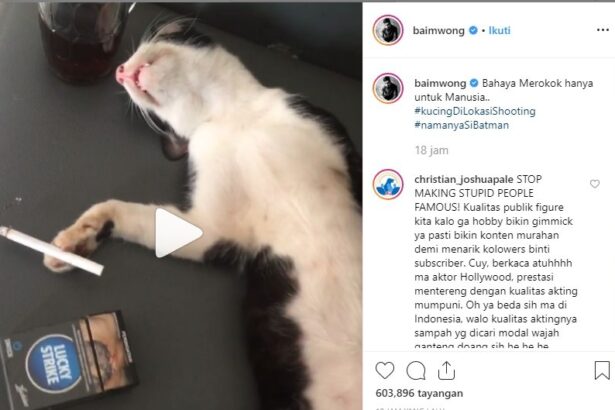 Dampak Buruk Asap Rokok pada Kucing: Ancaman Serius